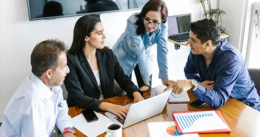 Senior consulting team